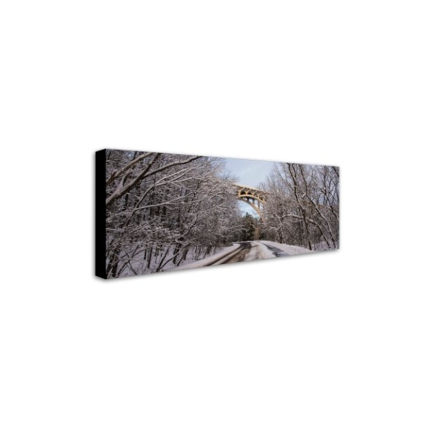 Kurt Shaffer 'Heavy Snowfall Along The Parkway 2' Canvas Art,14x32